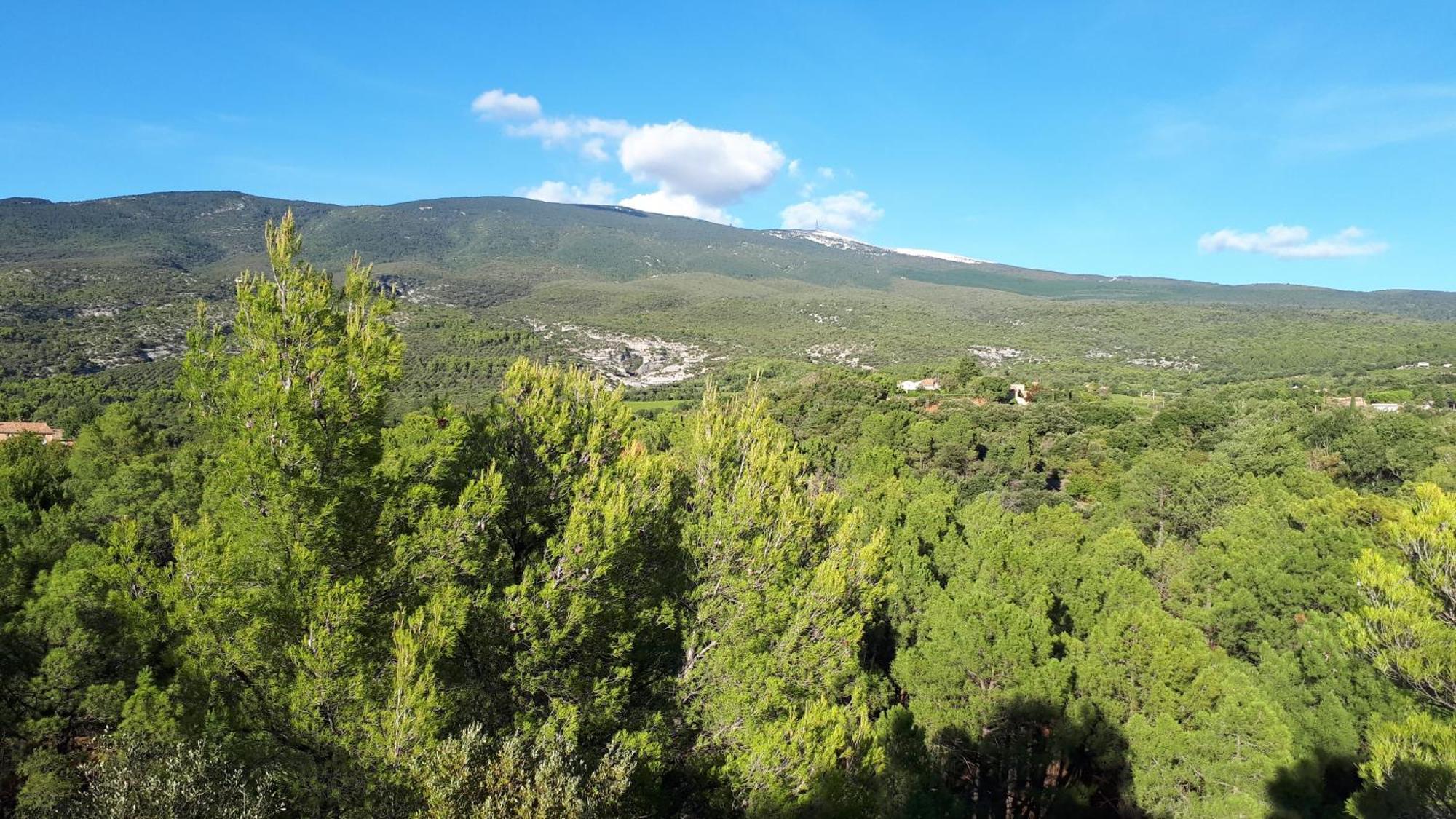 Villa La Carriera, Petite Maison Sud Ventoux, Au Charme Provencal Bédoin Exterior foto